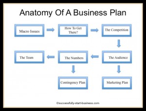 business plan templates anatomy